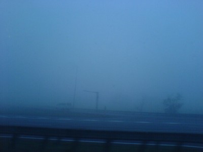 DSC01373.JPG