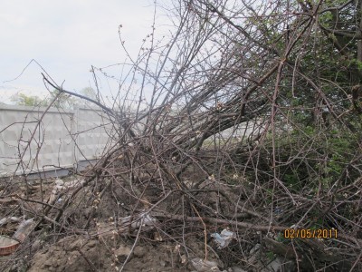 IMG_0761.JPG