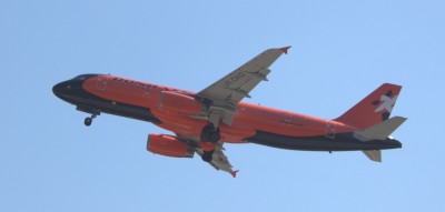 IMG_5482.jpg