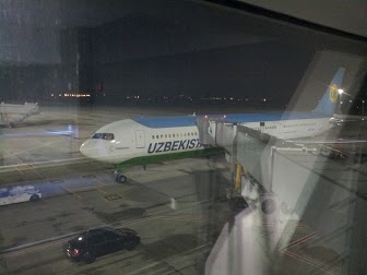 Вид через гейт