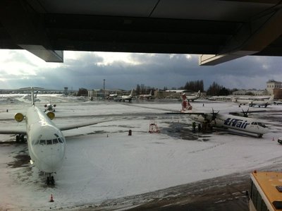 05.JPG