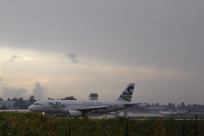 26.JPG