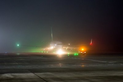t2.jpg