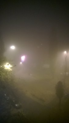 WP_20141107_013.jpg