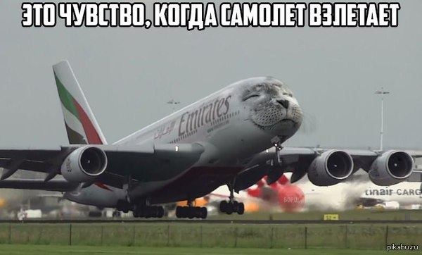 1420562740_1856590195.jpg
