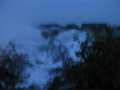 3888.JPG