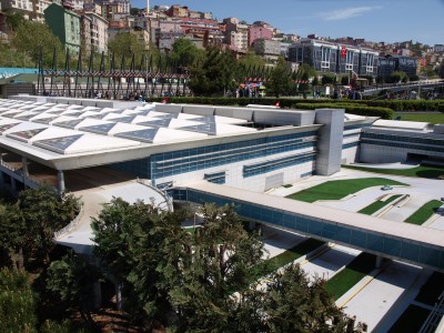 P4213463.JPG