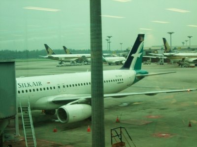 Возле Терминала 2,  А 320-200 компании  &quot; Silkair &quot;