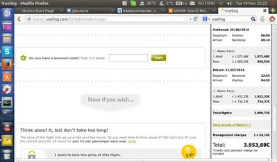 vueling.JPG