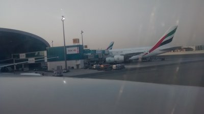 IMG_20140623_061803172.jpg