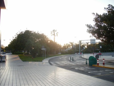 P6040029.jpg