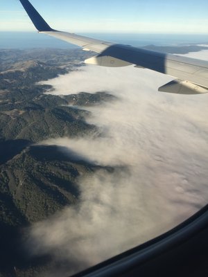 Гірський ланцюг Санта-Круз. І знамениті тумани