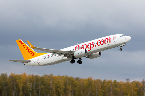 Boeing 737-800 Pegasus Airlines вылетает из Москвы, аэропорт Домодедово