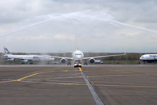 Лоу-кост Pegasus Airlines в аэропорту Домодедово, Москва