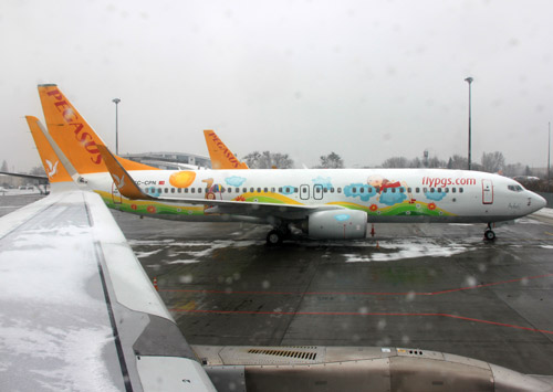       Pegasus Airlines