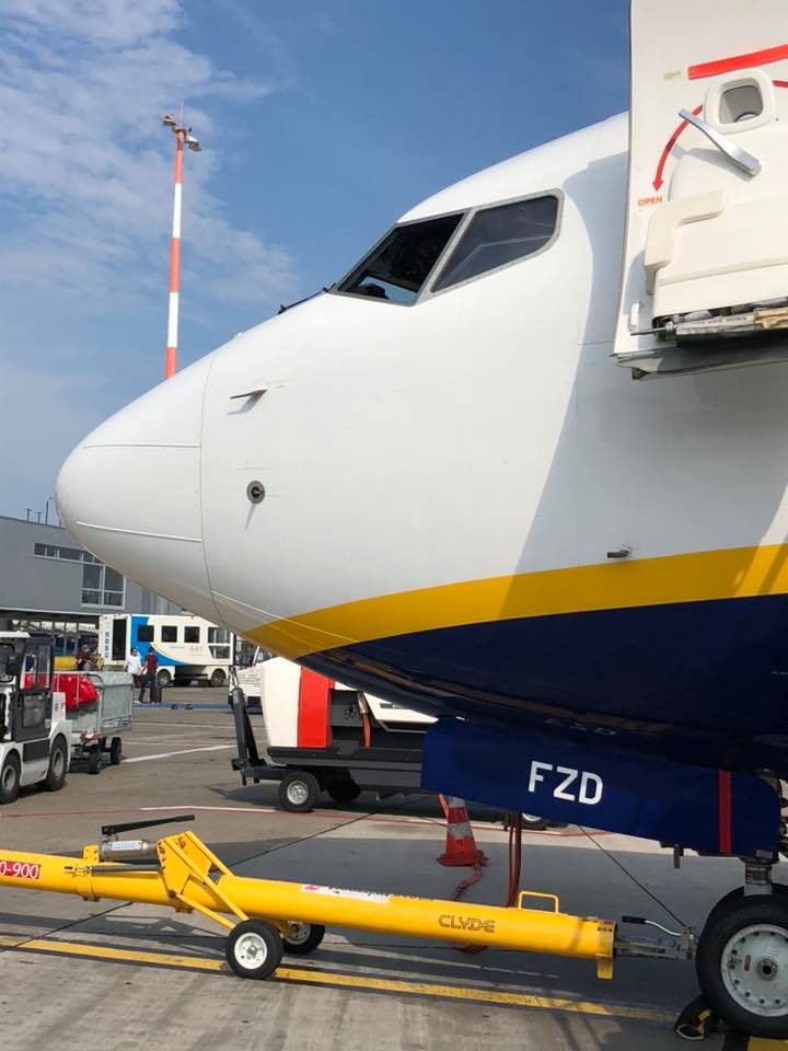 Boeing 737-800 Ryanair EI-FZD, выпущенный в 2017 году