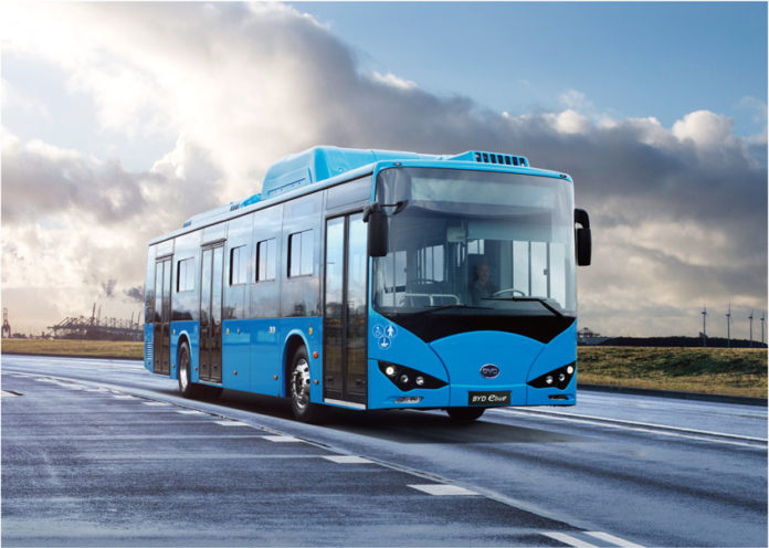 Электробус BYD. Фото: BYD