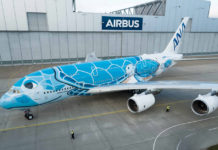 Первый лайнер-гигант для All Nippon Airways в специальной ливрее с черепахой