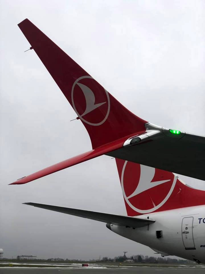 Специальные сдвоенные законцовки крыла на Boeing 737 MAX 8 Turkish Airloines. Фото: аэропорт Львов