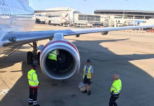 Вызволение совы из двигателя самолета Virgin Australia