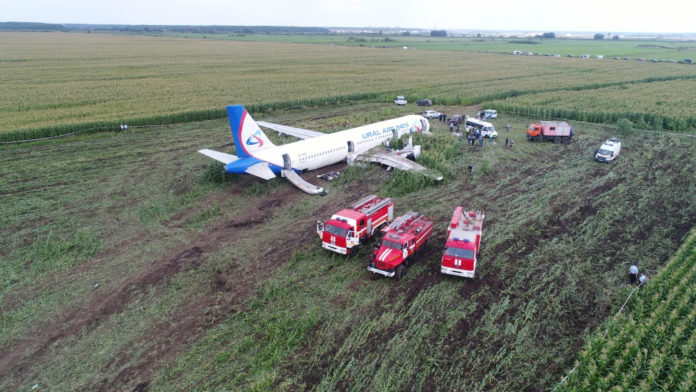 Пожарные машины около севшего на кукурузное поле Airbus A321 