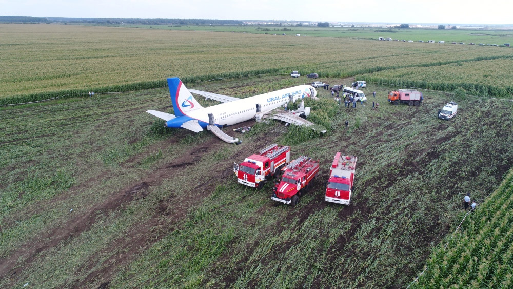 Пожарные машины около севшего на кукурузное поле Airbus A321 "Уральских авиалиний"