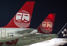 Хвосты самолетов Ernest Airlines