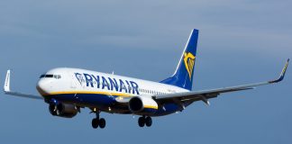 Boeing 737-800 Ryanair в небе