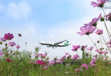 Самолет на фоне цветов. Фото: Eva Air