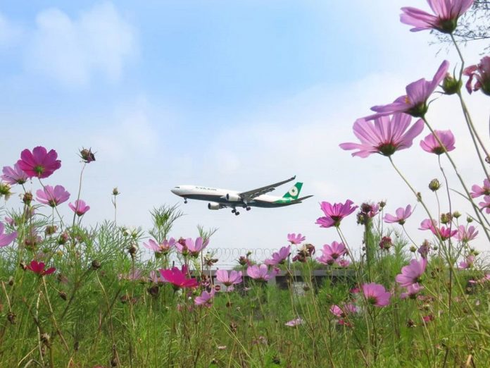 Самолет на фоне цветов. Фото: Eva Air