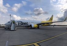 Boeing 737-800 Bees Airline