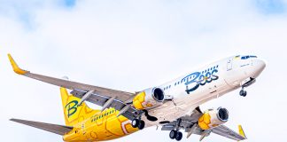 Boeing 737-800 Bees Airline