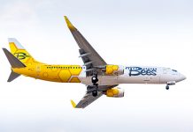 Boeing 737-800 Bees Airline