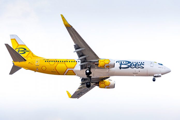 Boeing 737-800 Bees Airline