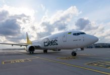 Boeing 737-800 Bees Airline