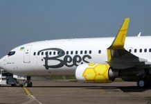 Boeing 737-800 Bees Airline