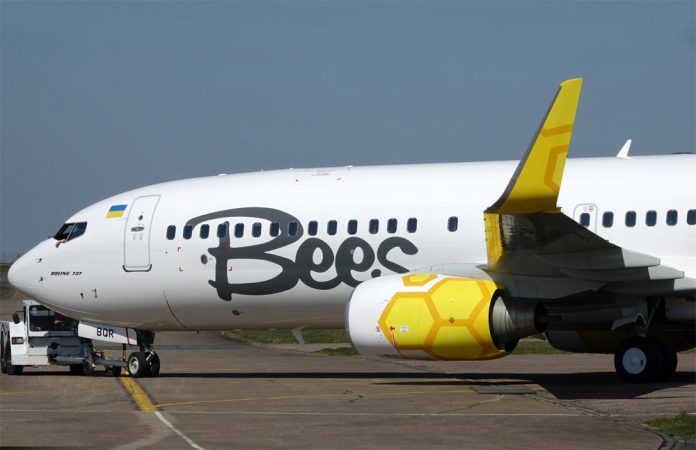 Boeing 737-800 Bees Airline