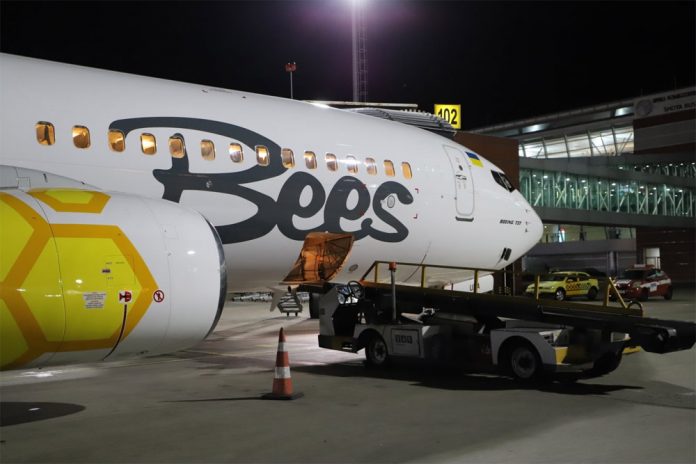 Boeing 737-800 Bees Airline