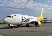 Boeing 737-800 Bees Airline