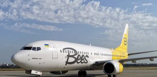 Boeing 737-800 Bees Airline