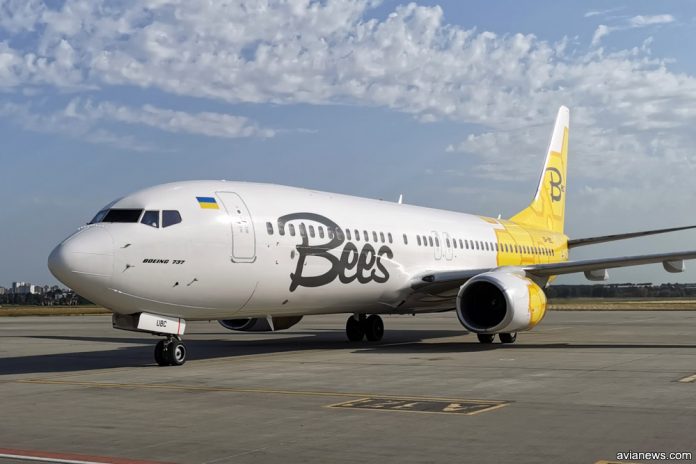 Boeing 737-800 Bees Airline