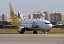 Boeing 737-800 Bees Airline