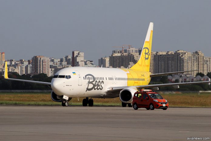 Boeing 737-800 Bees Airline