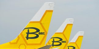 Хвосты самолетов Bees Airline