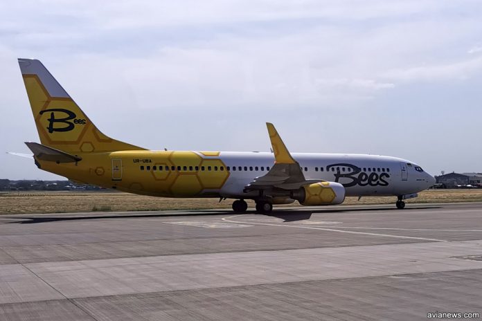 Boeing 737-800 Bees Airline