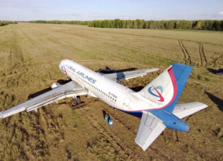 Airbus A320 RA-73805 "Уральских авиалиний" на пшеничном поле в Новосибирской области